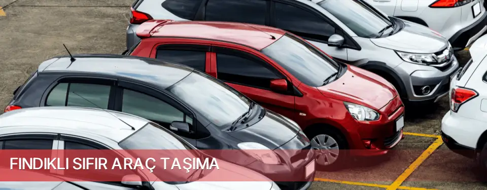Fındıklı İlçemi Sıfır Araç Taşıma